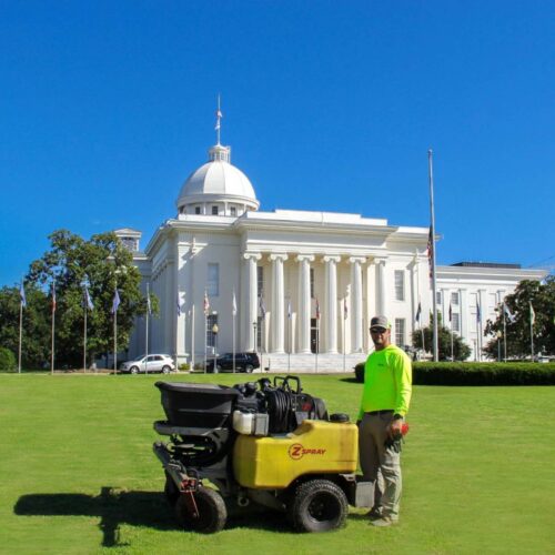 GreenCo Lawn Care & Landscapes - Birmingham Lawn Treatments Fertilization & Weed Control_04_SQ