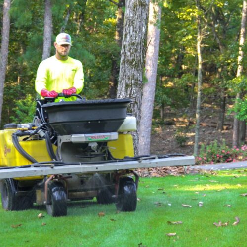 GreenCo Lawn Care & Landscapes - Birmingham Lawn Treatments Fertilization & Weed Control_11