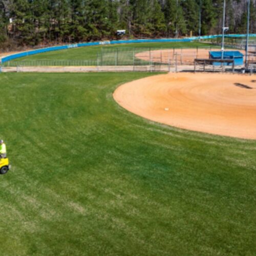 GreenCo Lawn Care & Landscapes - Birmingham Lawn Treatments Fertilization & Weed Control_21