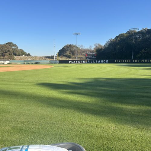 Baseball Field Lawn Care Treatments Fertilization Weed Control & Lawn Maintenance by GreenCo Lawn & Landscapes