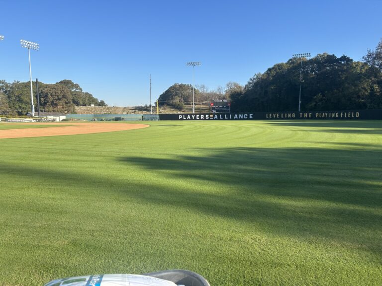 Baseball Field Lawn Care Treatments Fertilization Weed Control & Lawn Maintenance by GreenCo Lawn & Landscapes